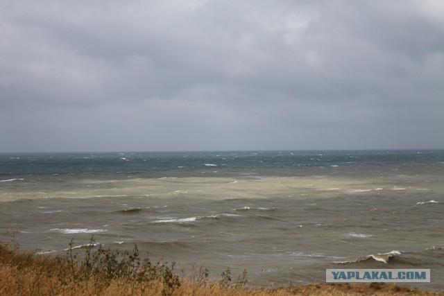 В Крыму Черное море стало желтым