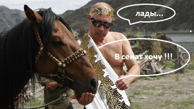 Когда у власти профессионалы