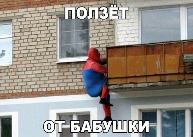Порция картинок из сети