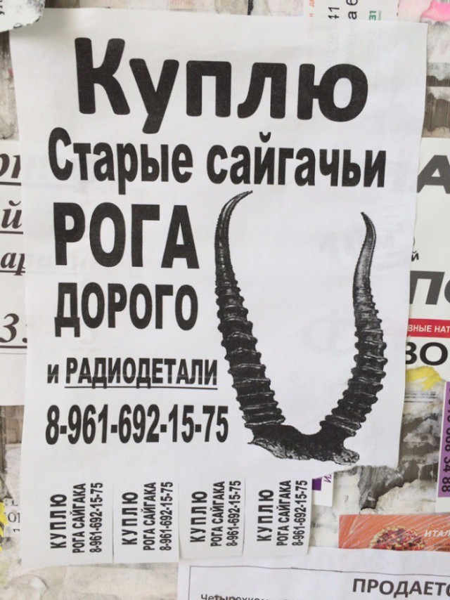 Картинки. Интересные, старые и не очень