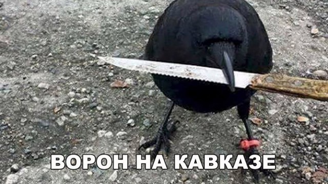 Картинки. Интересные, старые и не очень