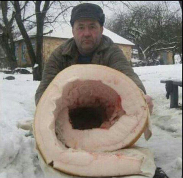 Соцсети - и смех и грех