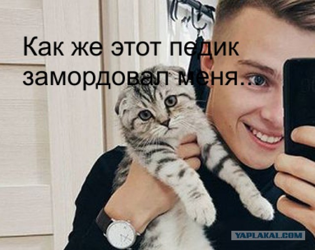 Вот так огламурилась питерская полиция