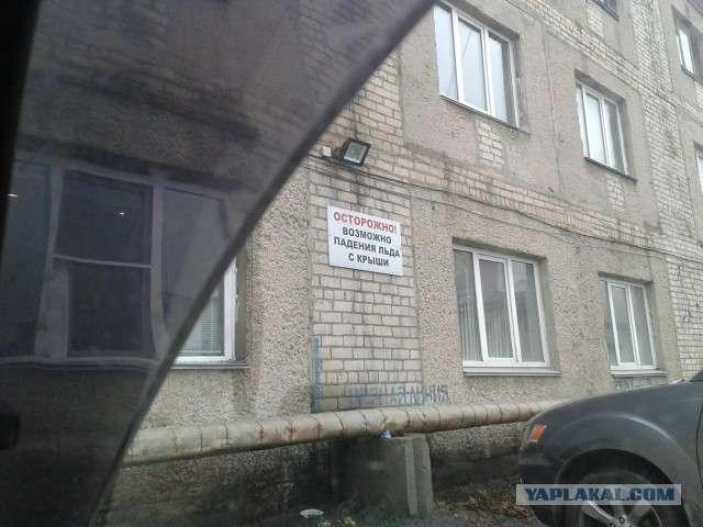 На тему "грамотности"