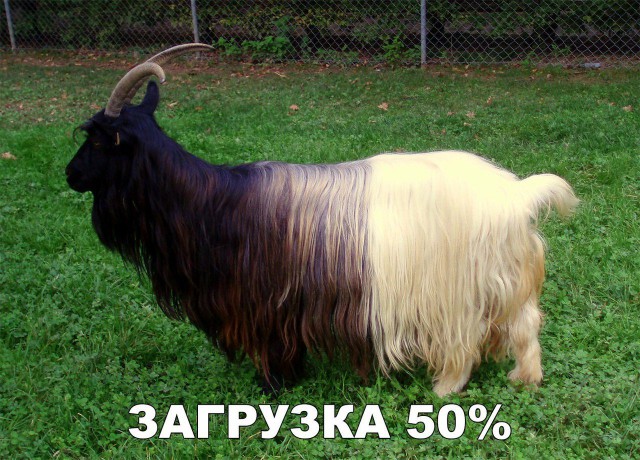 Не очень адекватный юмор