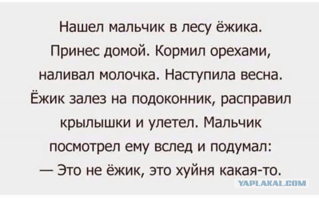 Настоящая Испания изнутри: как готовят паэлью из морепродуктов сами испанцы