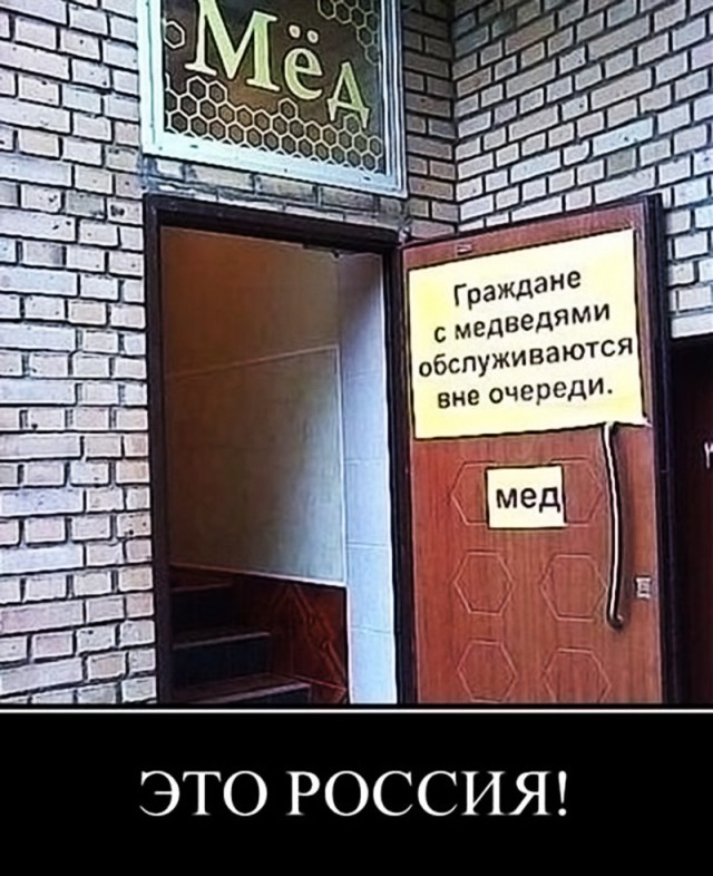 Прикольные картинки обо всем