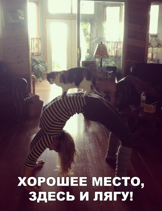 Нестандартный юмор