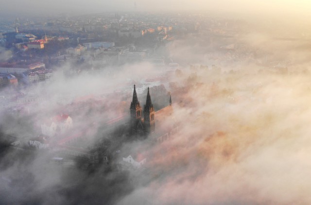 Подборка интересных и веселых картинок 21.11.18