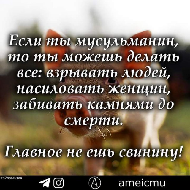 На калужском предприятии в сардельки «Мусульманские» добавляли свинину