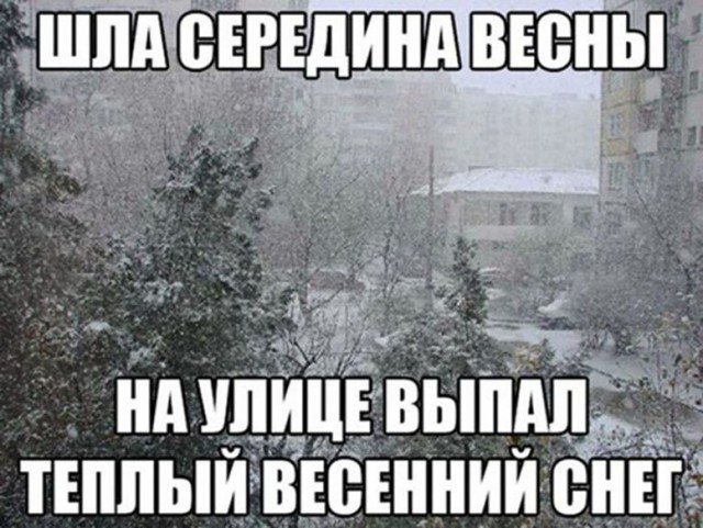 Анекдоты, соц-сети, истории и картинки с надписями