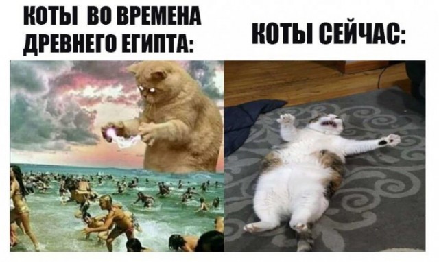 Немного картинок для настроения