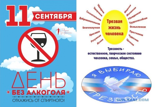 Небольшая субботняя алкоподборка