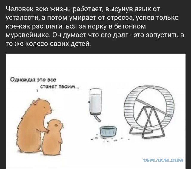 Бредзона 02.01.2020