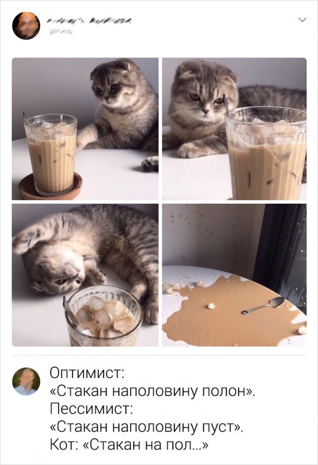 Комментарии, которые бьют прямо  яблочко