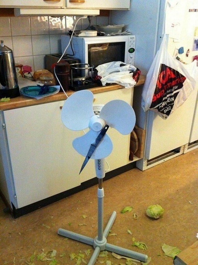 14326260.jpg