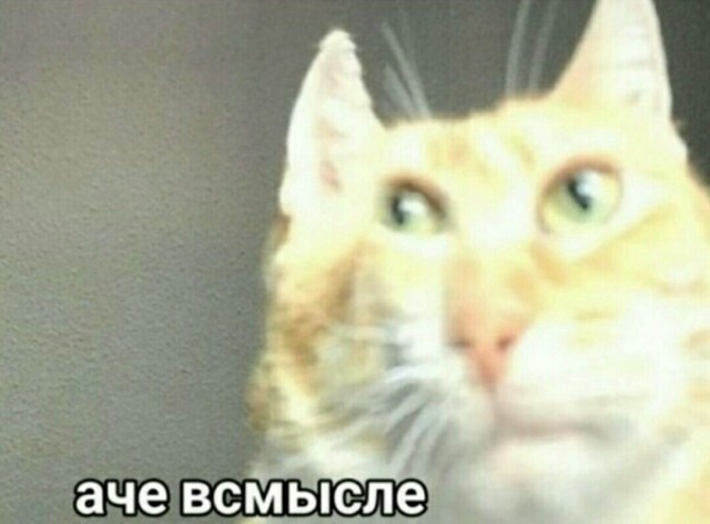Чёрная протестутка возмущена тем, что хозяева мешают грабить магазин и хочет, чтобы полиция запретила это делать