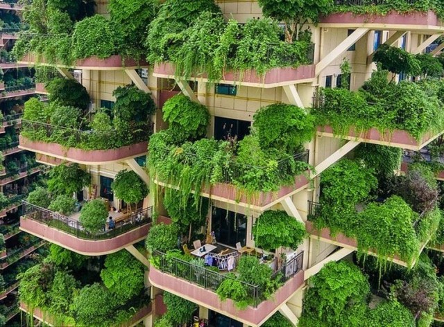 В Китае провалился проект комплекса с «вертикальным лесом». В него переехали лишь 10 семей, а лес превратился в джунгли