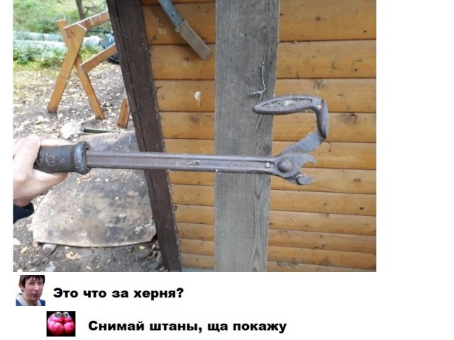 16 раз, когда люди понятия не имели о том, что они нашли, но интернет помог объяснить, что это такое