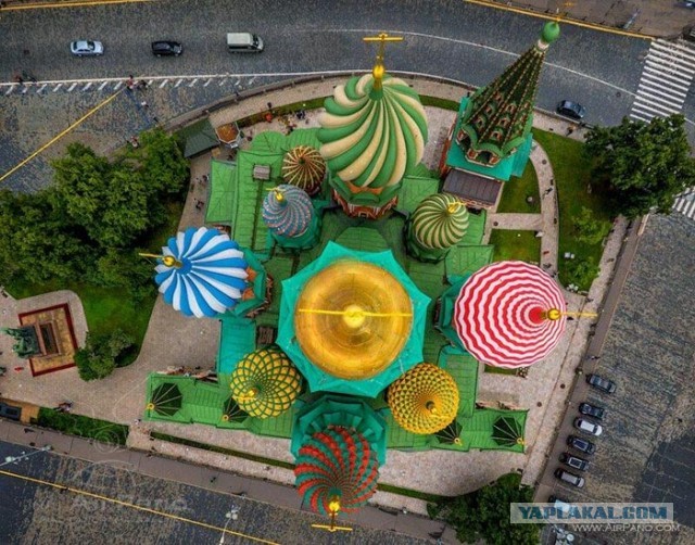 2020 год. Чудовищные изменения реального мира