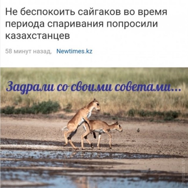 Бредзона 14.12.20