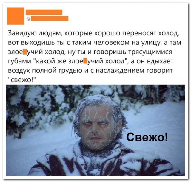 Не понимала, почему Виктор меня мышкой называет, пока не обнаружила целый зоопарк в его телефоне