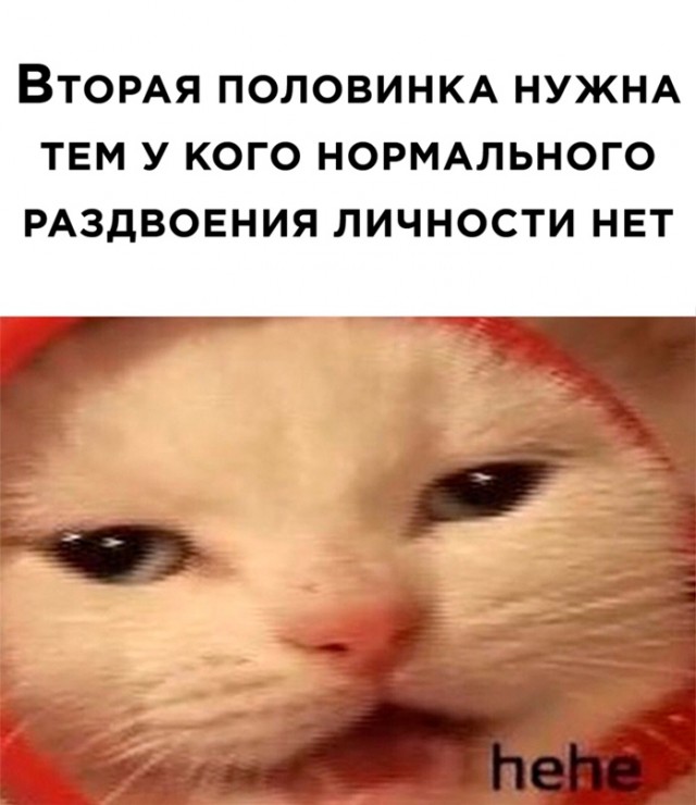 Картинки для настроения.9.02.