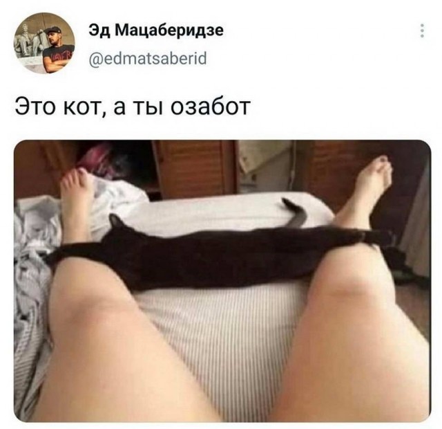 Картинки и мемы для настроения 004