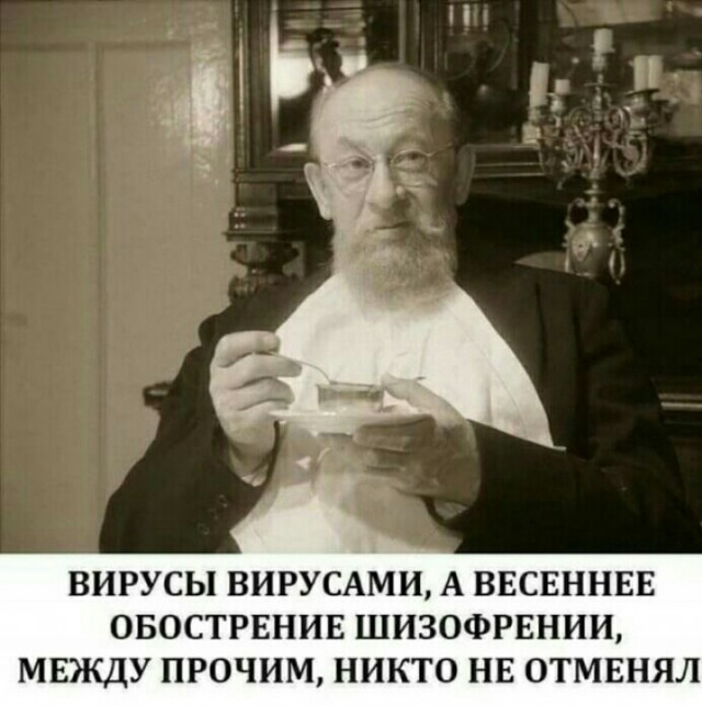 Развешанная на деревьях свинина испугала москвичей