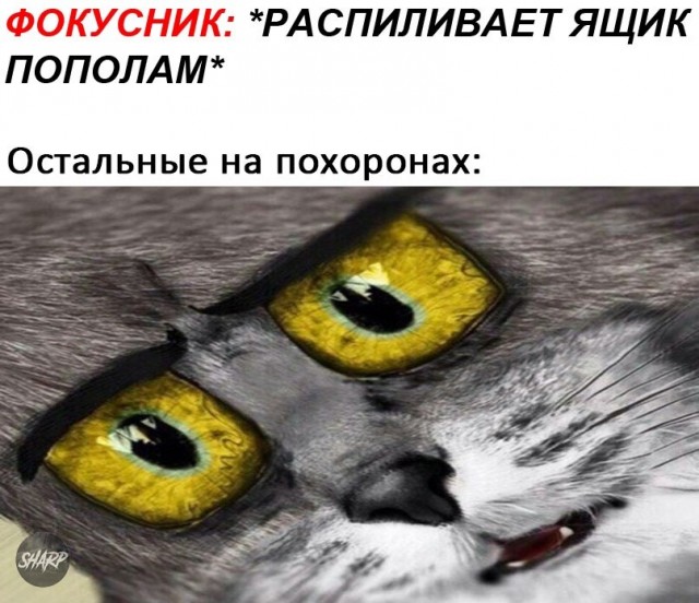 Чёрный четверг