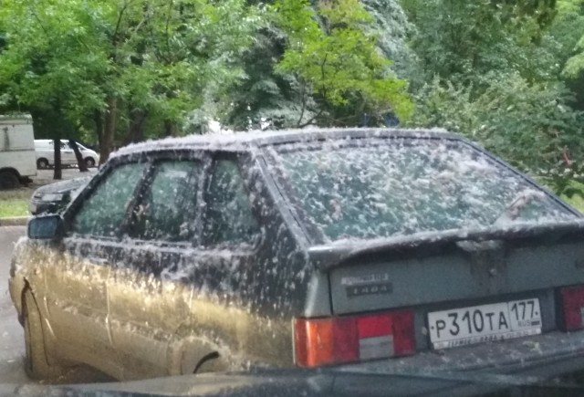 Бывают в жизни огорчения (3.06.21