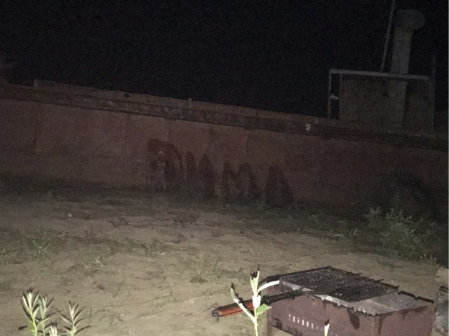 40 безумных фотографий, не имеющих художественной ценности, но притягивающих взгляд