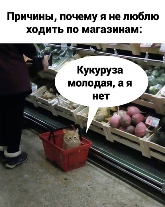 Так себе картинки 12.09.21
