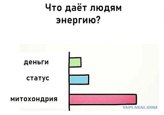 Пандемия. Коронавирус. Россия и мир. Последняя информация. Часть 27