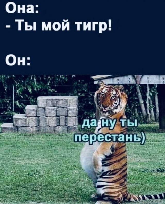 Картинки и мемы, всем прекрасных выходных