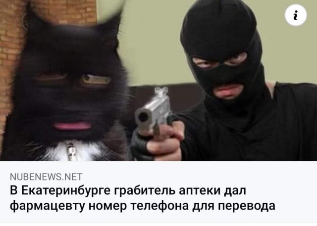 Всяческие картинки 22.12.2021