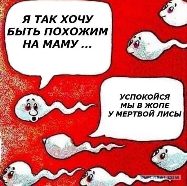 ПостНовогодняя ХНЯ, для дорогих деградантов