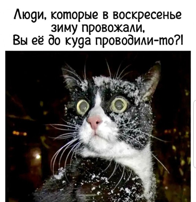 "Марток", не снимай порток