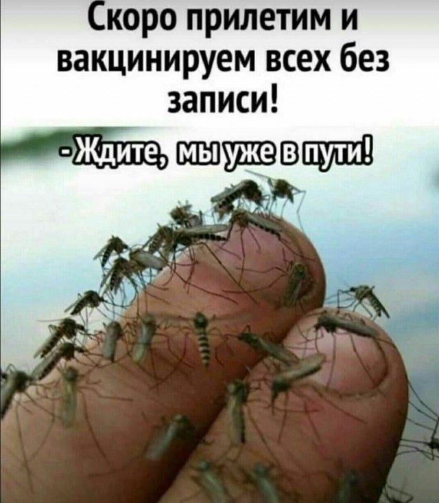 Пандемия. Коронавирус. Россия и мир. Часть 30.