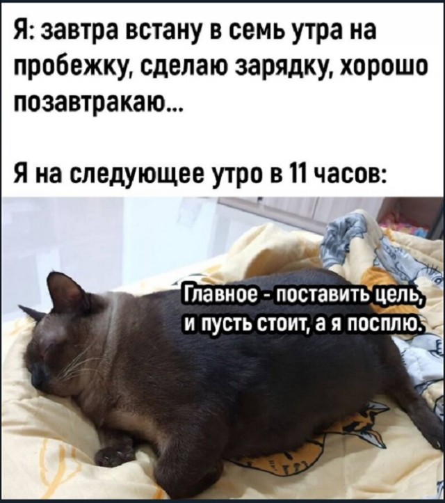 Картинки с надписями и всякие жизненные фразы