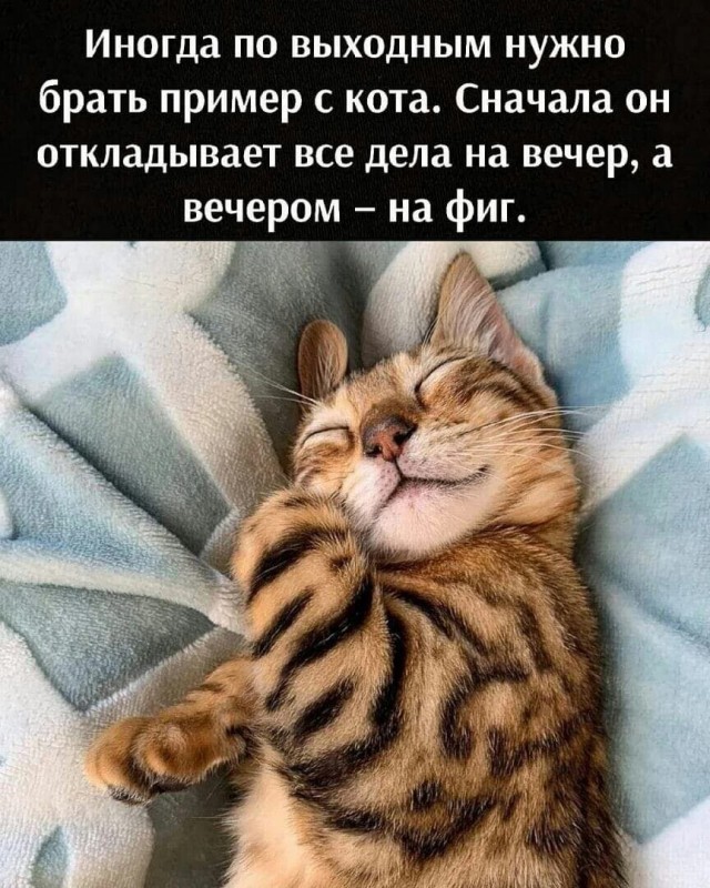 Немного картинок и прочей хреноты Vol. 14
