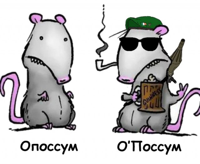 Весёлый полтишок 16.05.22