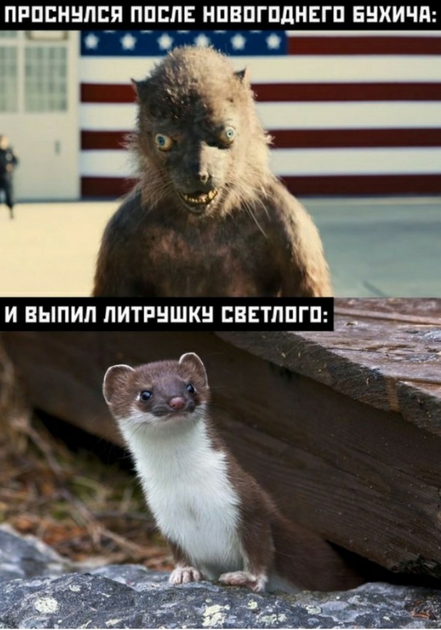 Помогите избавиться от Ласки