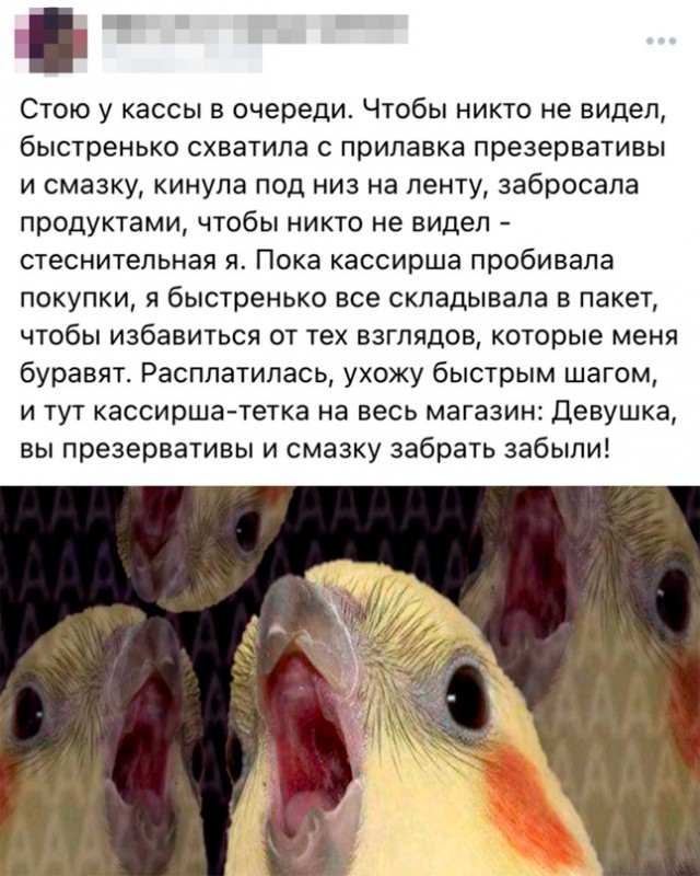 Картинки и мемы для настроения. Выходные близко...