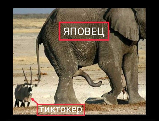 Симпсоны же вродь пока ещё не ошибались