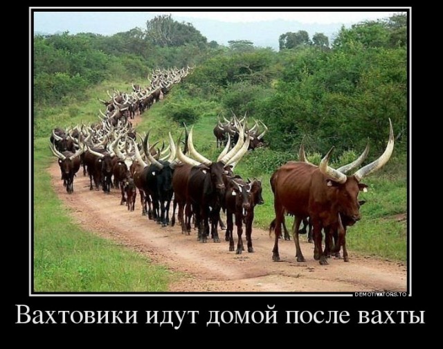 Скучающие соседки, у которых мужья уехали на вахту