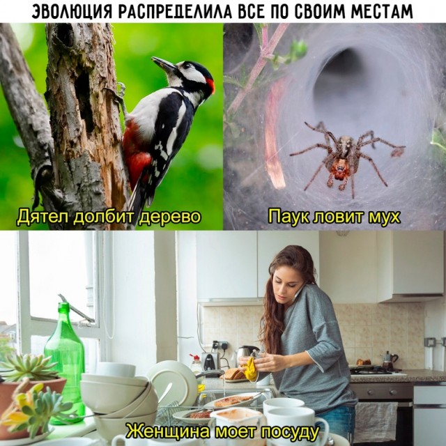 Картинки и мемы для настроения - 107