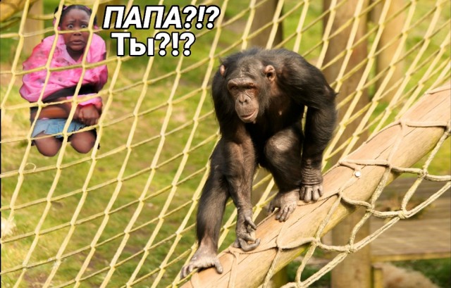 Фотожаба: Негритянка на горках