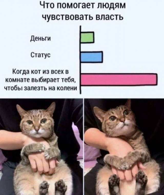 Немного картинок для настроения - 125