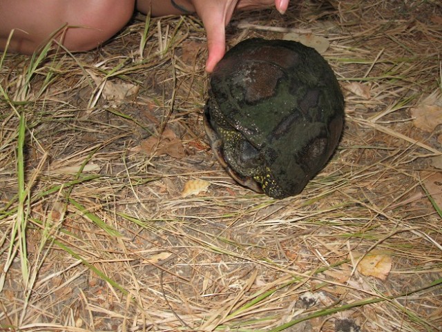 Рыбалка (Чёрный Яр)